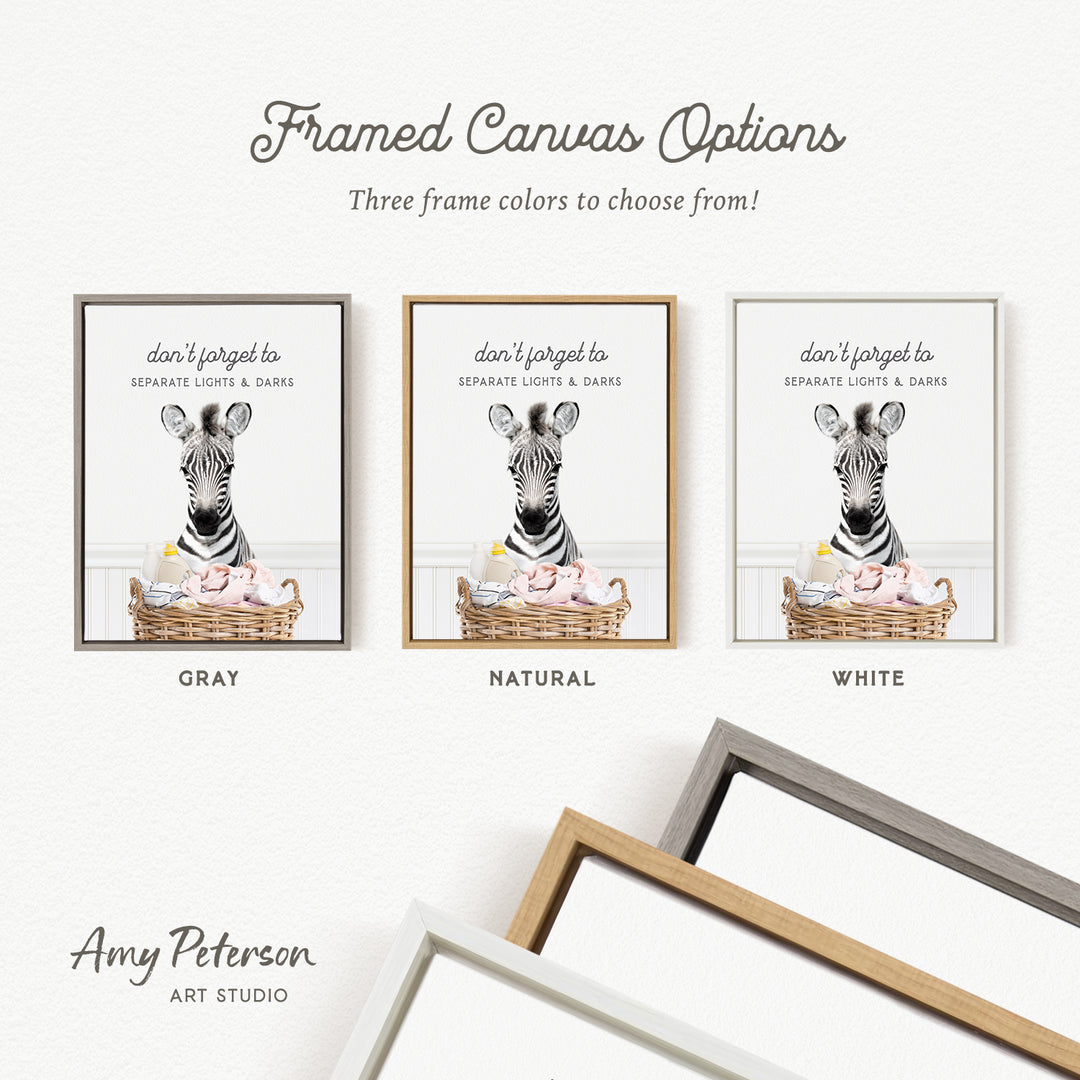 three framed canvas options, each featuring a zebra in a basket. The options include a gray, a natural, and a white frame.