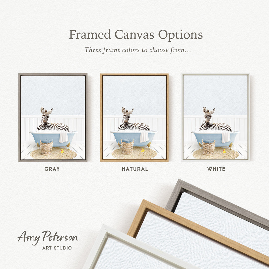 The image is a framed canvas option showcasing three different framed canvas options for a zebra bath. The options include a gray frame, a natural frame, and a white frame.
