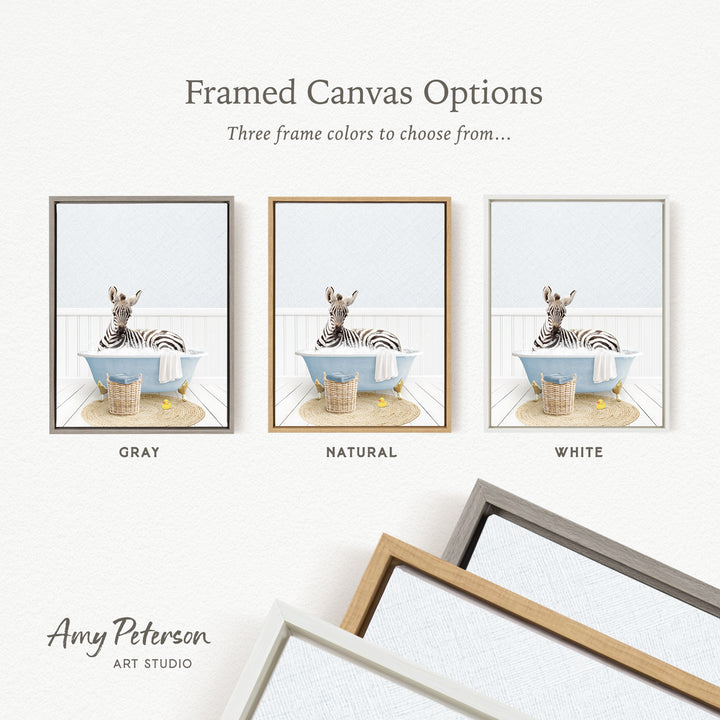 The image is a framed canvas option showcasing three different framed canvas options for a zebra bath. The options include a gray frame, a natural frame, and a white frame.
