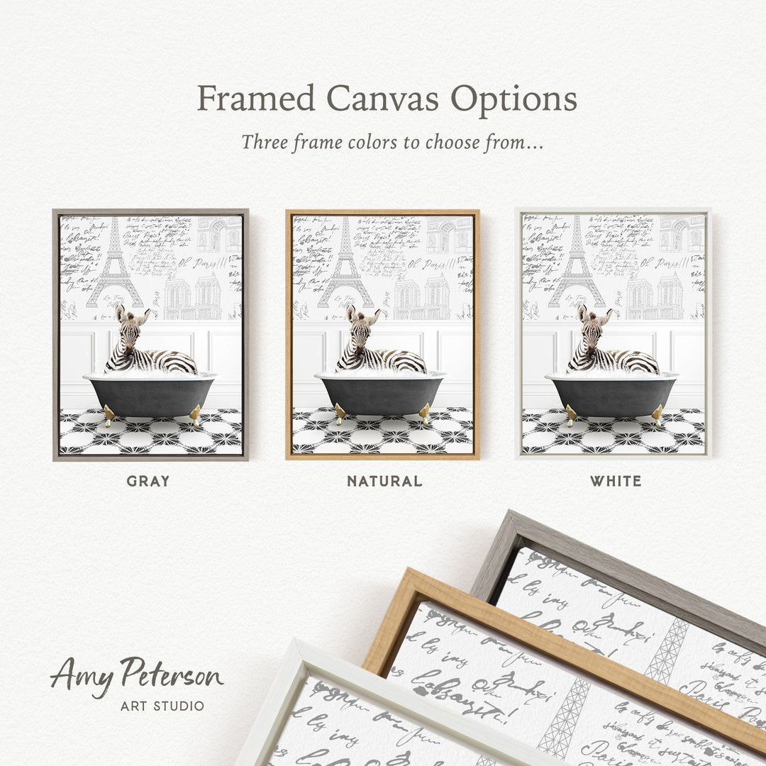 The image is a framed canvas option showcasing three different frame colors: gray, natural, and white. The canvas features a zebra sitting in a bathtub, with the text " Framed Canvas Options" and "Three frame colors to choose from..." displayed above the images.