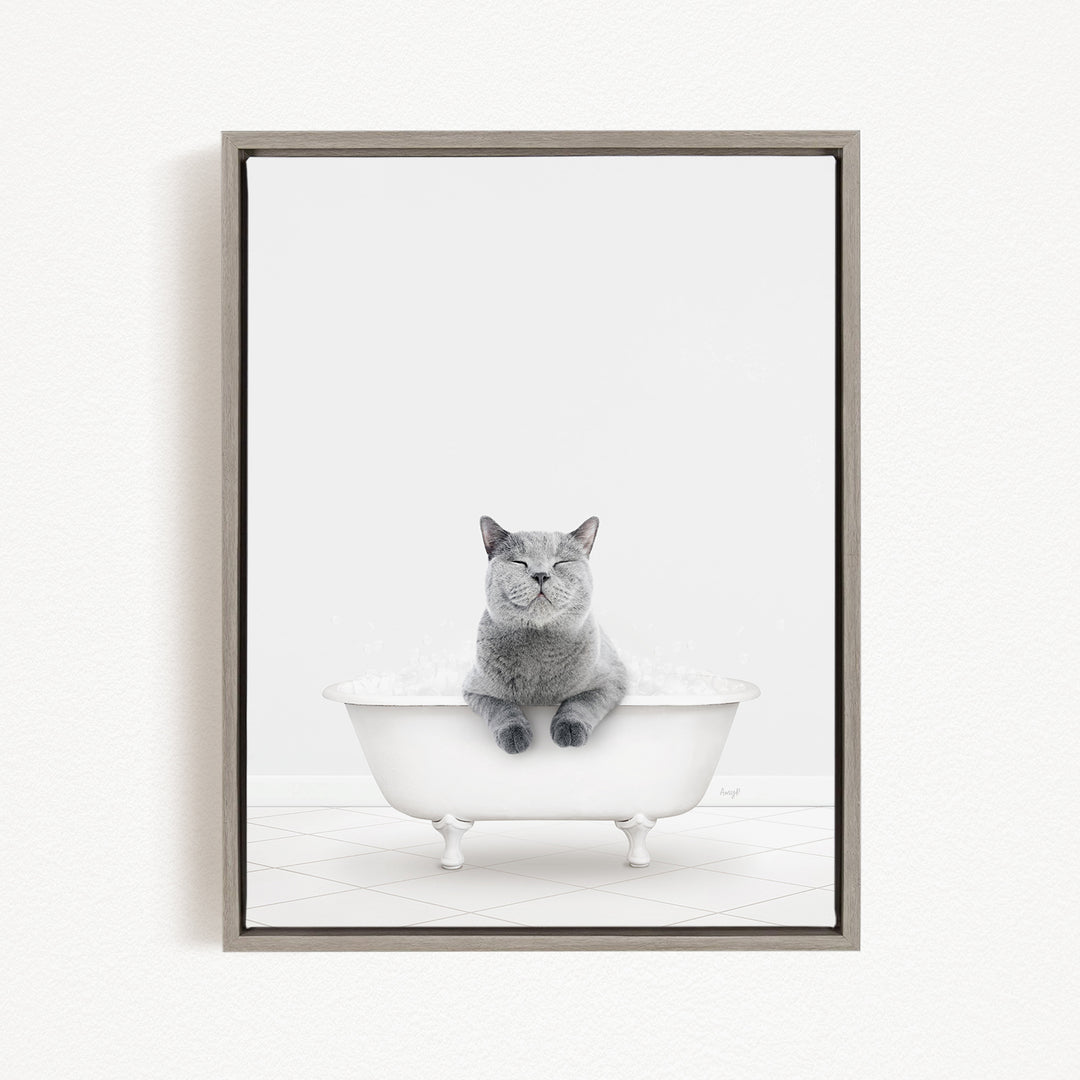 A gray cat sitting in a white bathtub filled with bubbles, looking content and relaxed.