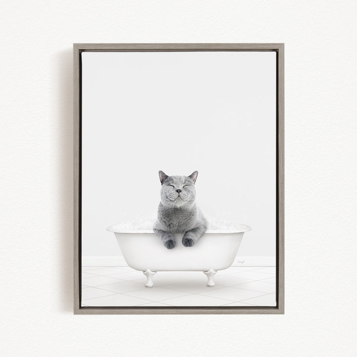 A gray cat sitting in a white bathtub filled with bubbles, looking content and relaxed.