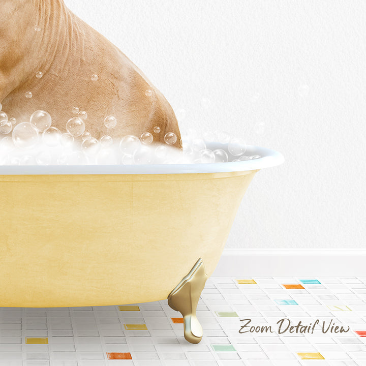 A bathtub filled with bubbles, with a dog standing inside it.