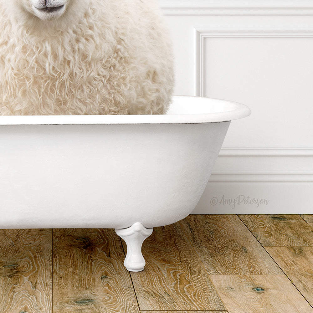 A fluffy white sheep is sitting in a white bathtub, with its head peeking out from the tub.