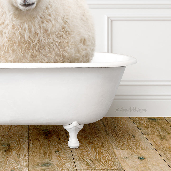 A fluffy white sheep is sitting in a white bathtub, with its head peeking out from the tub.