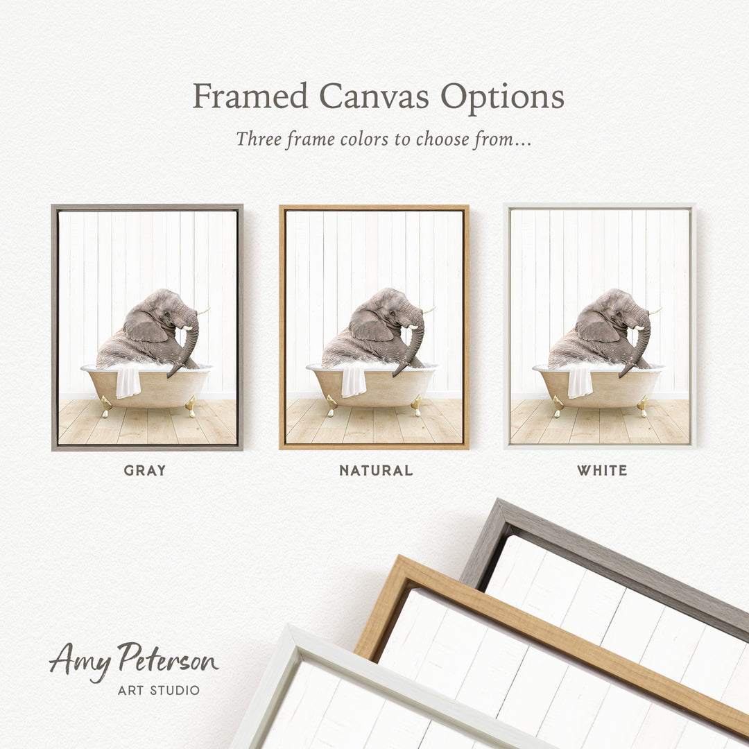 The image is a framed canvas option showcasing three different frame colors: gray, natural, and white. The central image features an elephant sitting in a bathtub, with the text " Framed Canvas Options" above it.