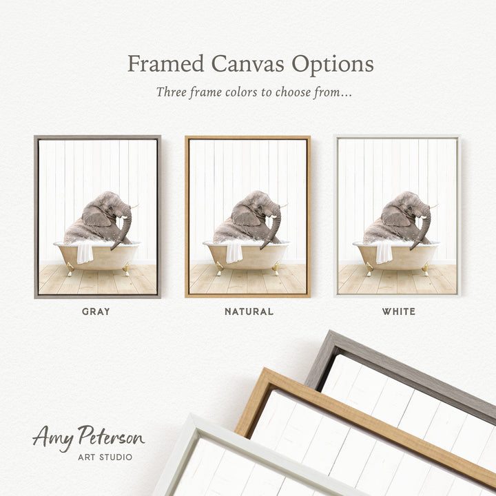 The image is a framed canvas option showcasing three different frame colors: gray, natural, and white. The central image features an elephant sitting in a bathtub, with the text " Framed Canvas Options" above it.