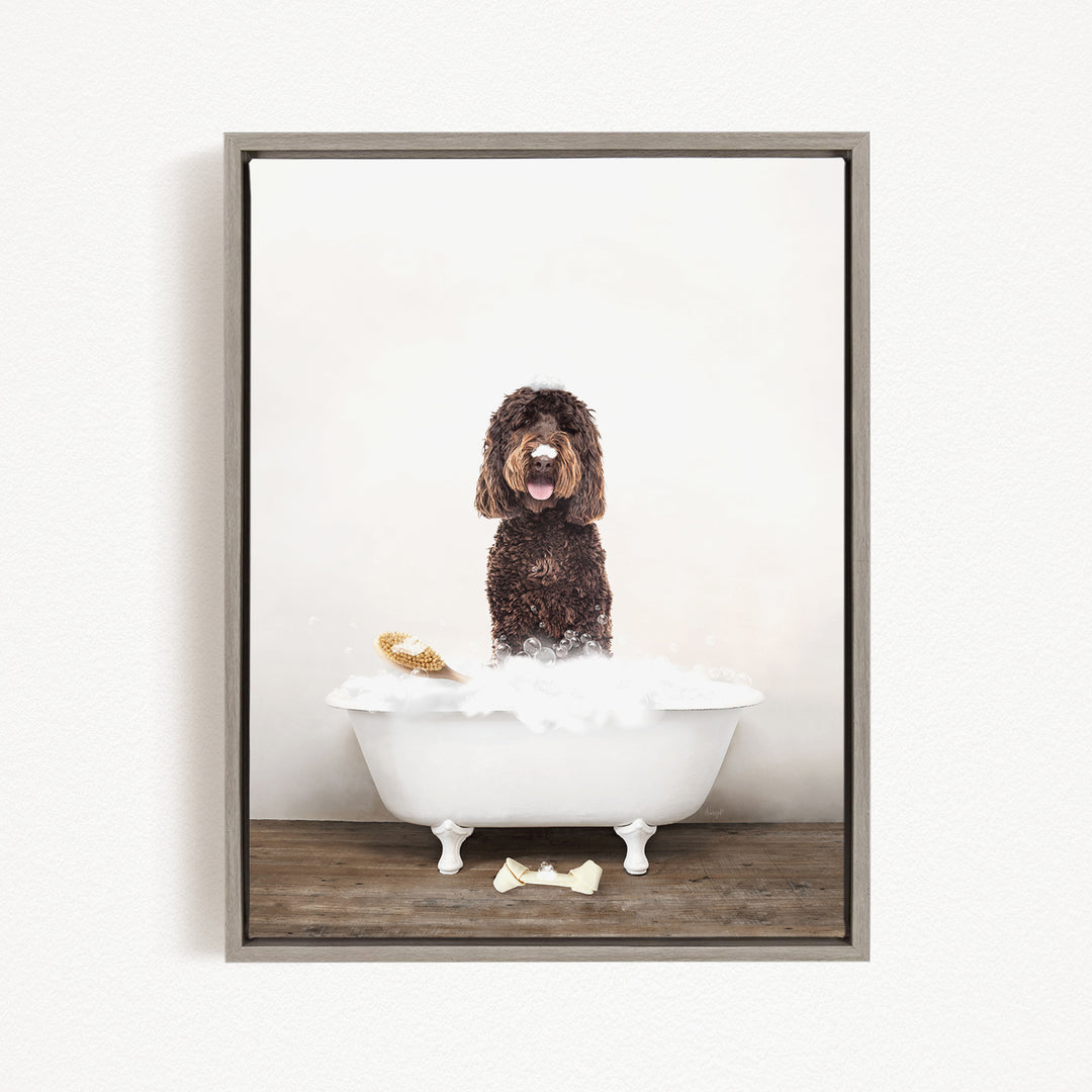 A brown curly-haired dog standing in a white bathtub filled with bubbles, with a yellow object nearby.