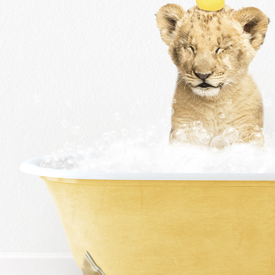 a lion cub sitting in a bathtub with bubbles