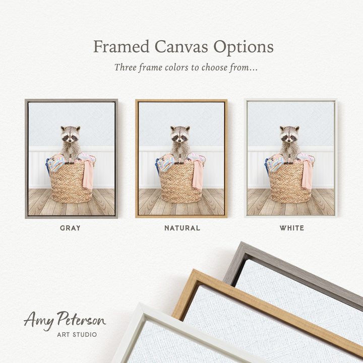 three framed canvas options, each featuring a raccoon sitting in a basket. The options include a gray frame, a natural frame, and a white frame.