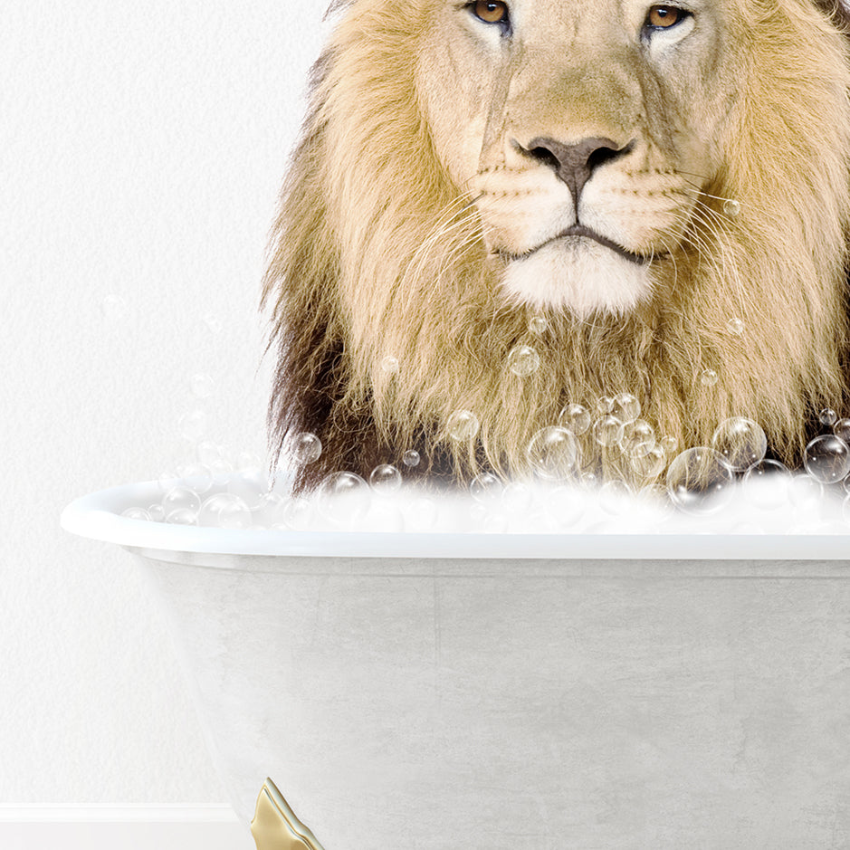 a lion sitting in a bathtub with bubbles