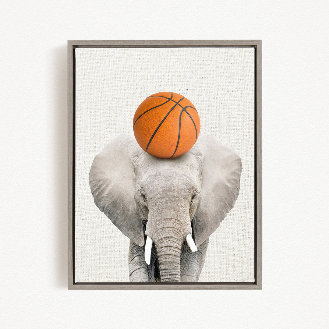 A gray elephant with a basketball resting on its head.