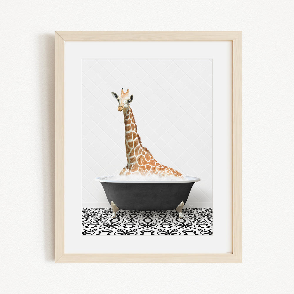 A giraffe is sitting in a black bathtub filled with water, creating a whimsical and playful scene.