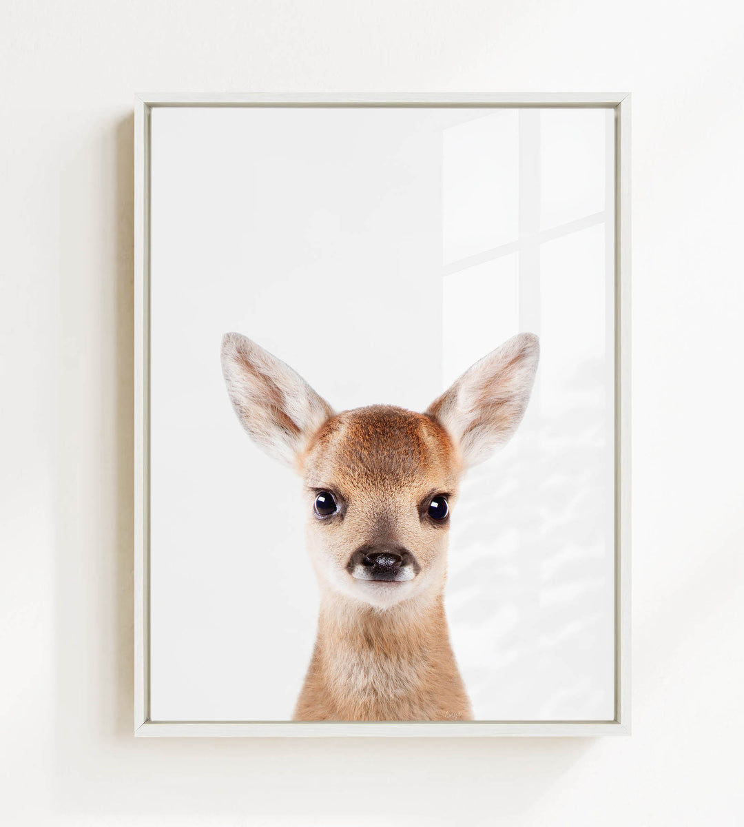 A framed photograph of a deer with large ears and a small nose, looking directly at the camera.