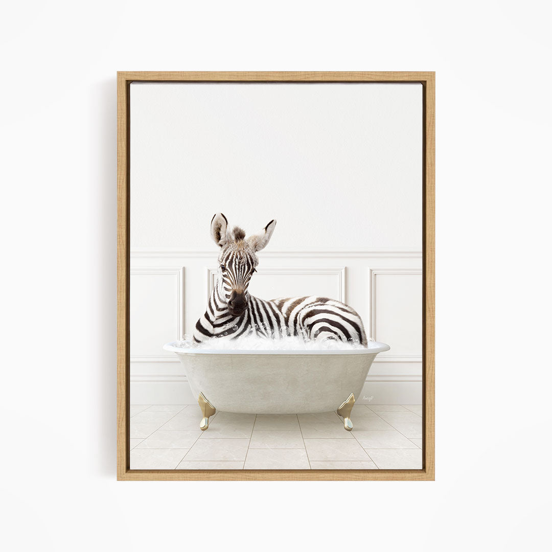 A zebra is sitting in a white bathtub, appearing relaxed and comfortable.