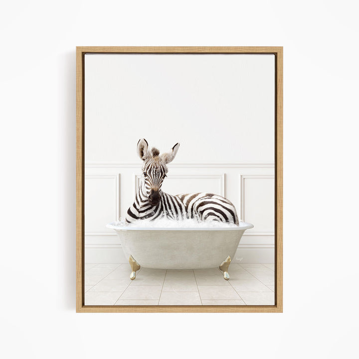 A zebra is sitting in a white bathtub, appearing relaxed and comfortable.