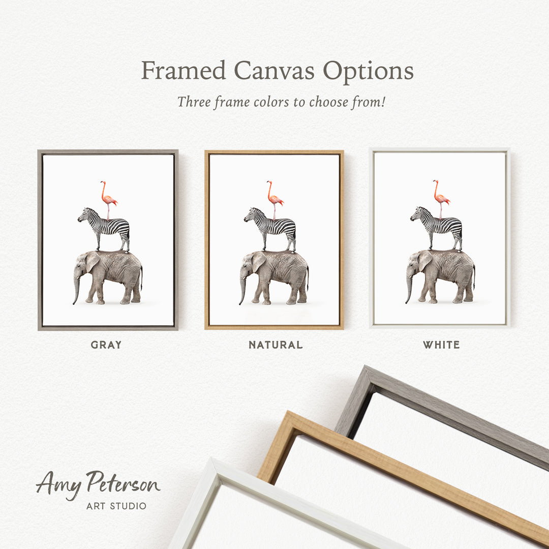 three framed canvas options featuring a zebra, flamingo, and elephant on a white background. The options include a gray frame, a natural frame, and a white frame.