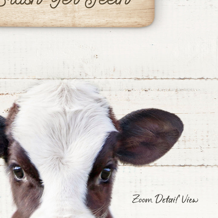 A close-up of a cow's head with a white and brown coat, looking directly at the camera.