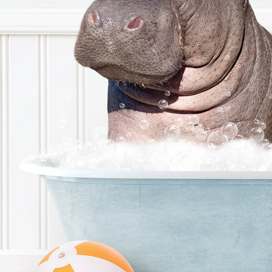 a hippopotamus in a bathtub with bubbles