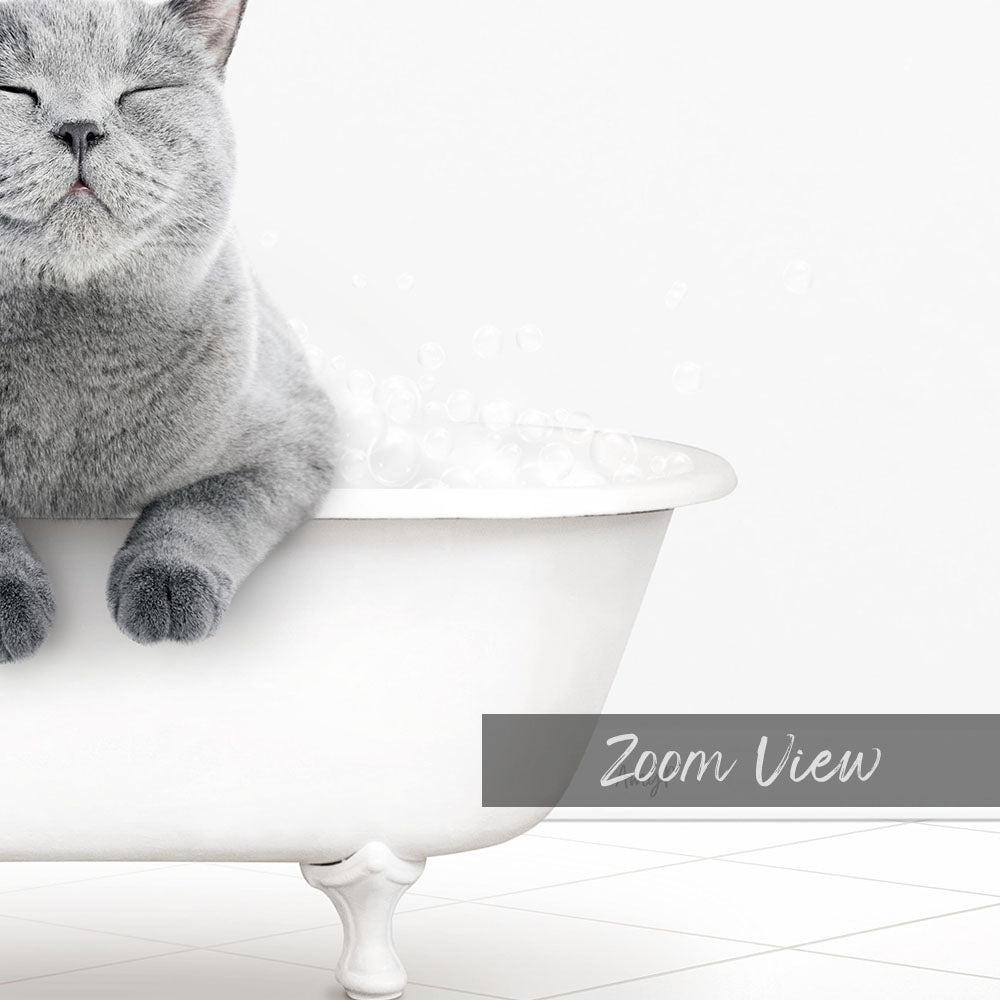 A gray cat sitting in a white bathtub filled with bubbles, with its eyes closed and appearing relaxed.