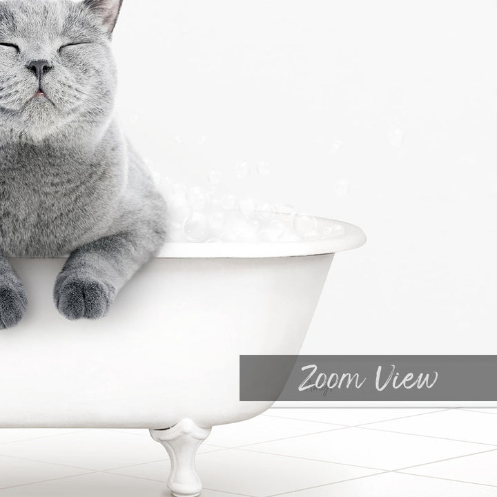 A gray cat sitting in a white bathtub filled with bubbles, with its eyes closed and appearing relaxed.