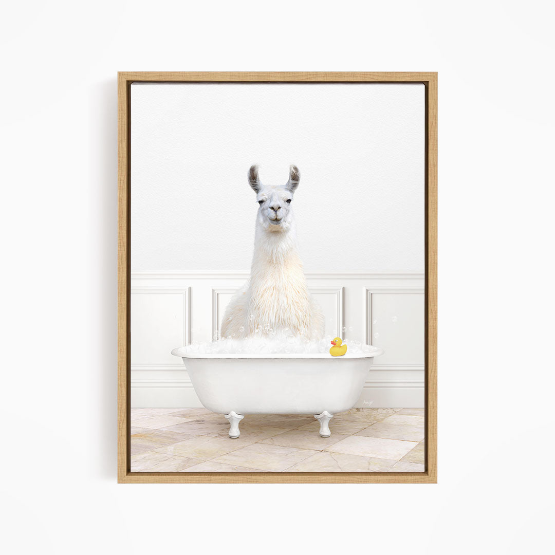 A white llama sitting in a white bathtub filled with bubbles, with a rubber duck floating in the water.