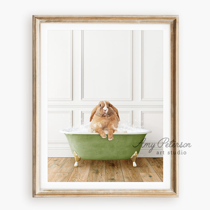 a brown dog sitting in a green bath tub