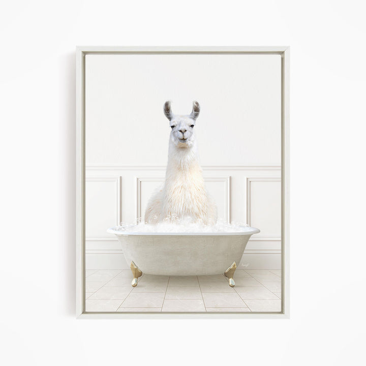 A white llama sitting in a white bathtub filled with bubbles.