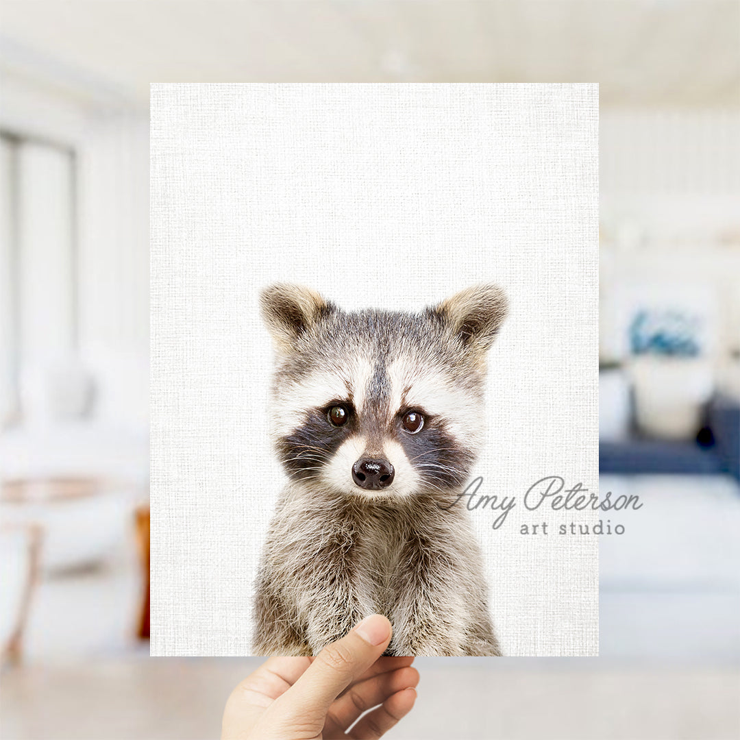 a hand holding a picture of a raccoon