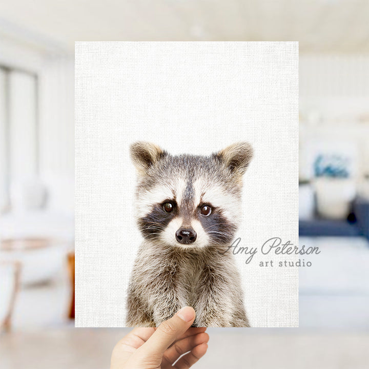 a hand holding a picture of a raccoon