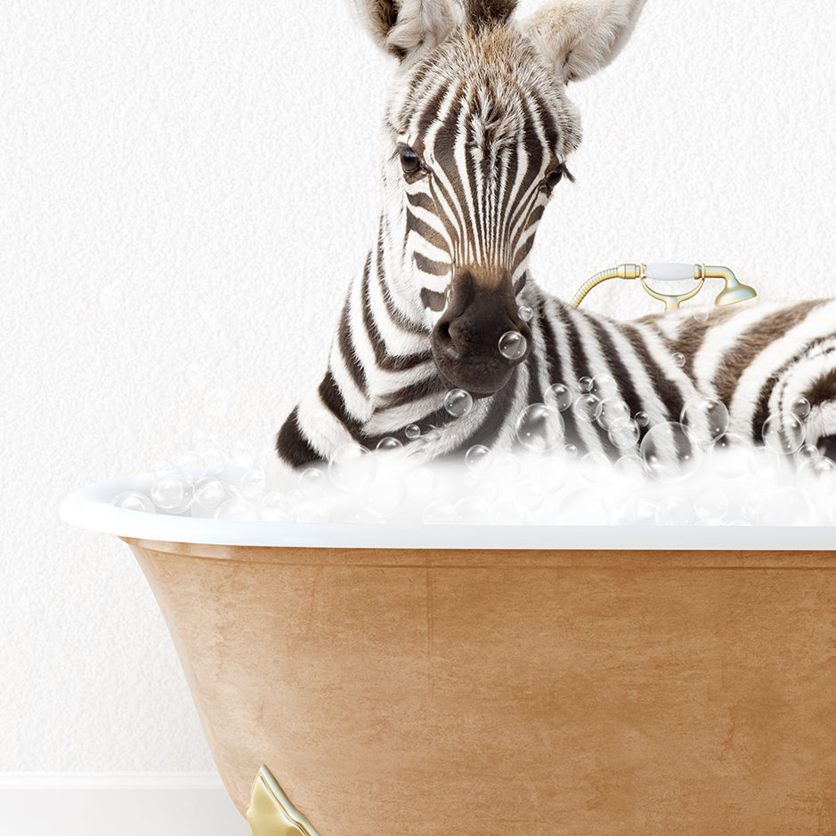 a baby zebra laying in a bath tub