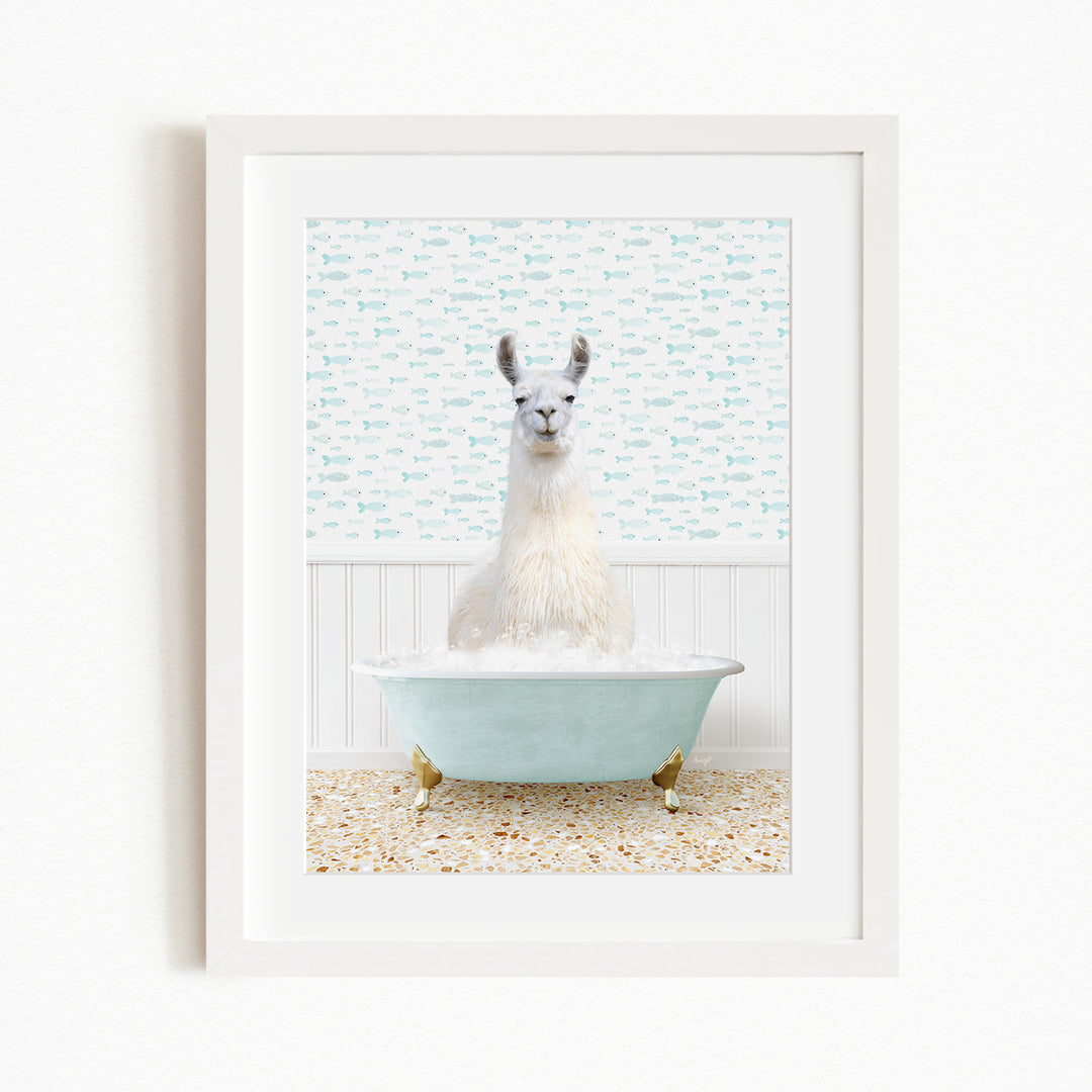 A white llama sitting in a light blue bathtub filled with bubbles, with a patterned wall behind it.