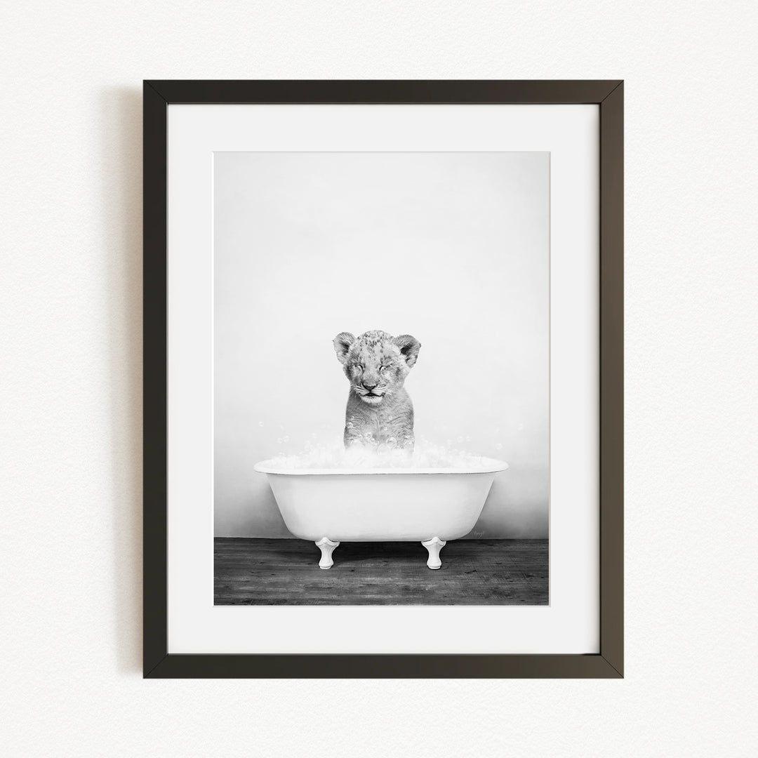A young lion cub sitting in a white bathtub filled with water, looking directly at the camera.