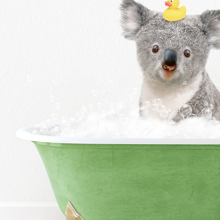 a koala in a bathtub with a rubber duck on its head