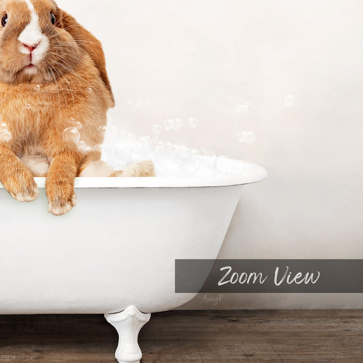 A cute orange and white rabbit sitting in a white bathtub filled with bubbles, with the text "Zoom View" below the image.
