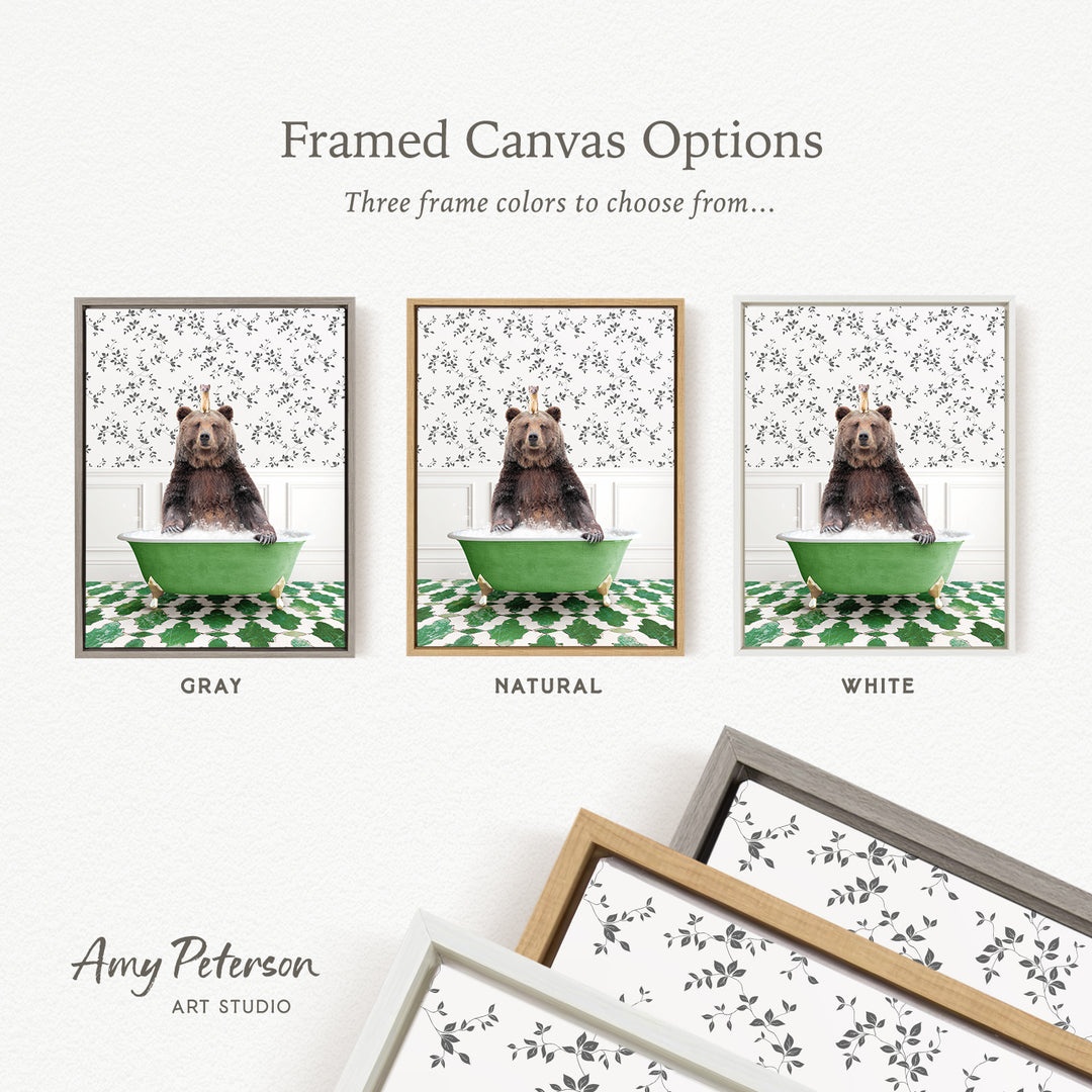 The image is a framed canvas option featuring three different framed pictures of a bear sitting in a green bathtub. The bear is depicted in various colors, including gray, natural, and white. The text above the images reads " framed Canvas Options" and "Three frame colors to choose from...". The bottom of the image includes the text " Amy Peterson ART STUDIO".