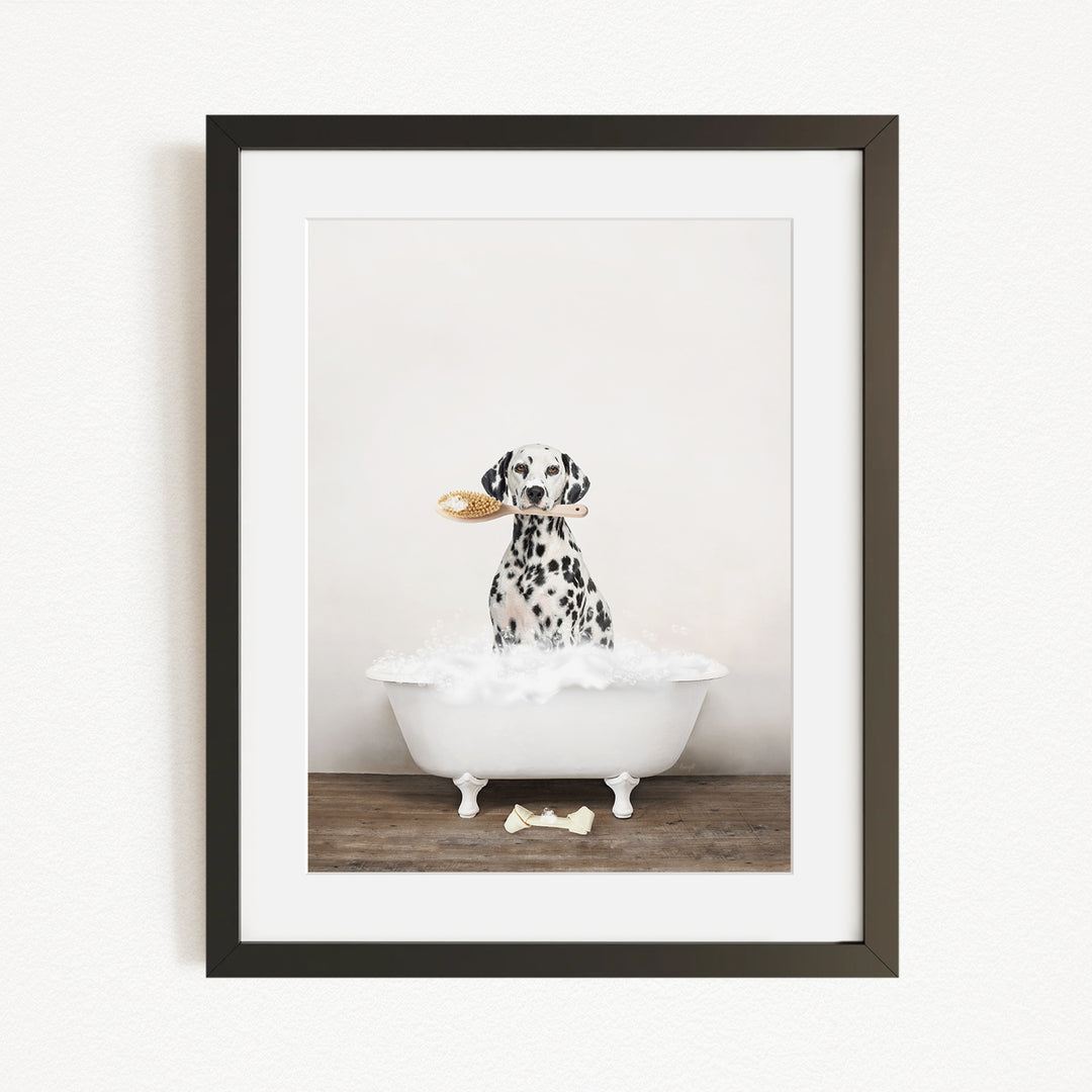 A Dalmatian dog sitting in a white bathtub, holding a toy in its mouth.