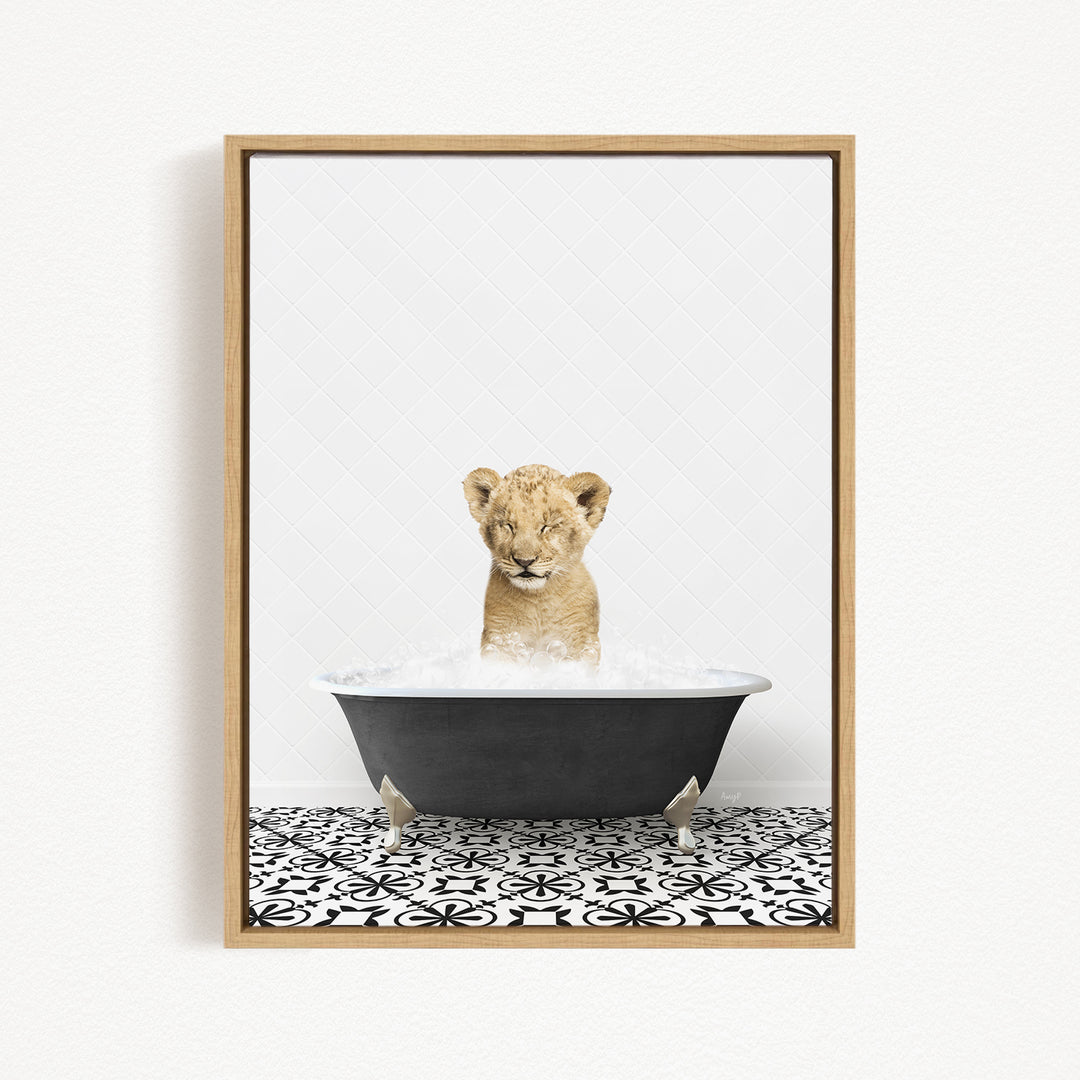 A young lion cub sitting in a black bathtub filled with water, looking up at the camera.