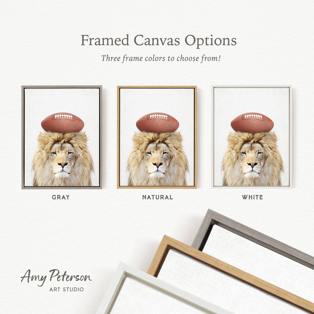 three framed canvas options featuring a lion with a football on its head, each in a different frame color: gray, natural, and white.