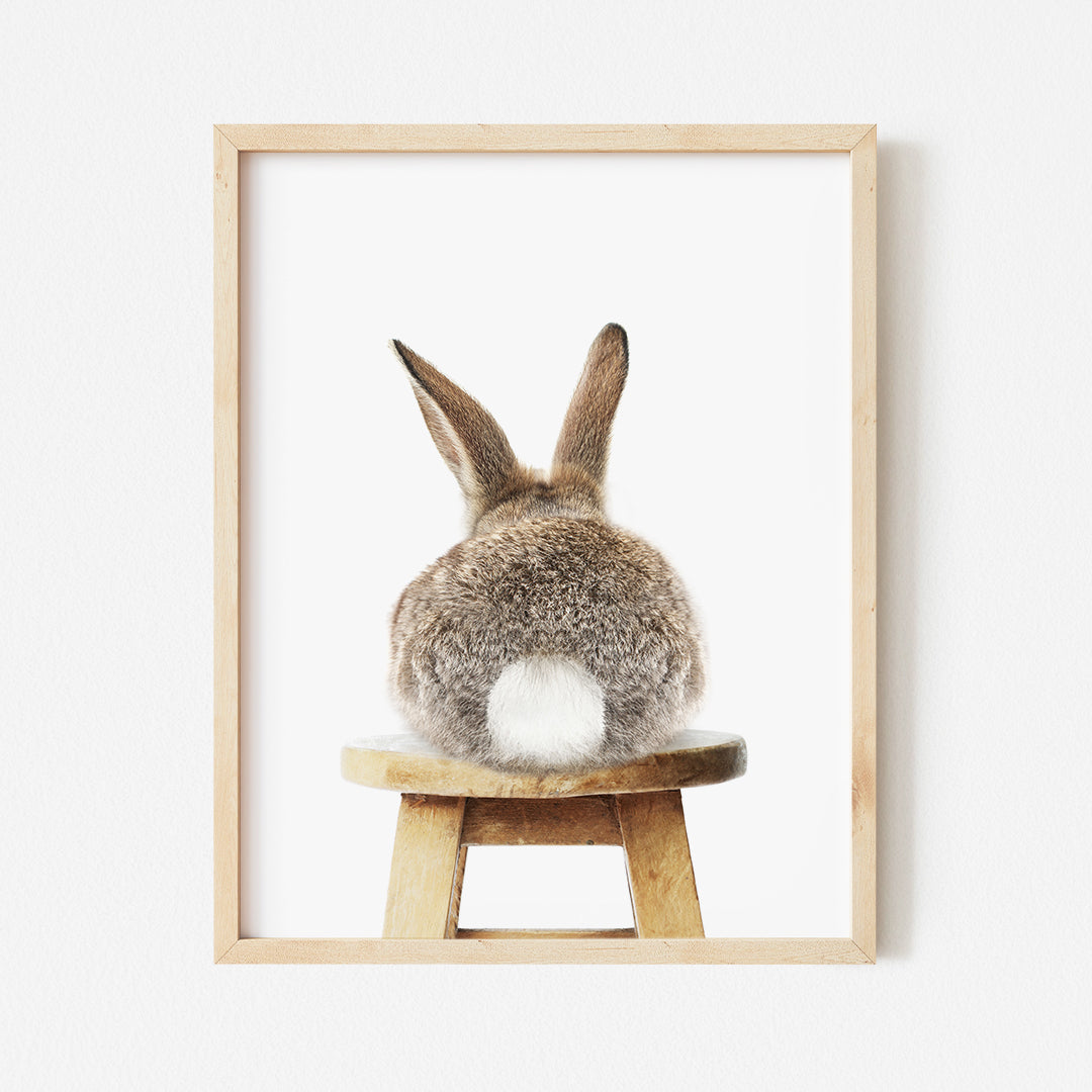 a picture of a rabbit sitting on a stool