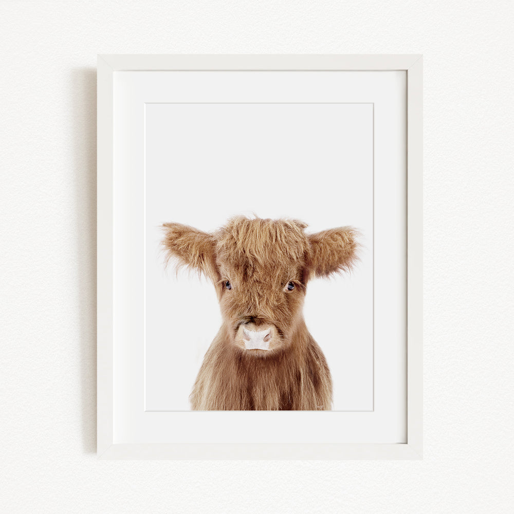 A framed image of a brown cow with a white nose and eyes, looking directly at the camera.