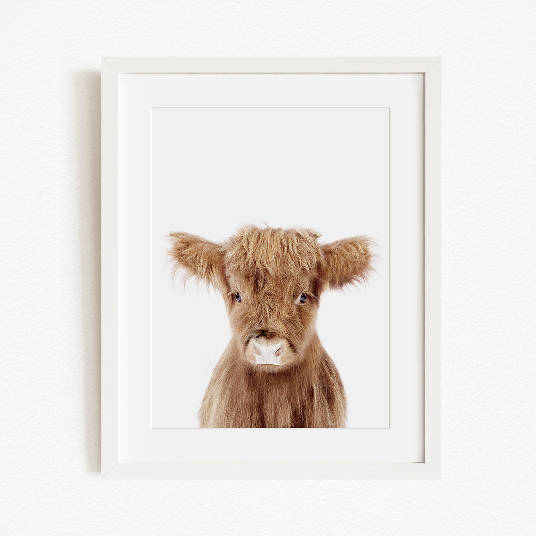 A framed image of a brown cow with a white nose and eyes, looking directly at the camera.