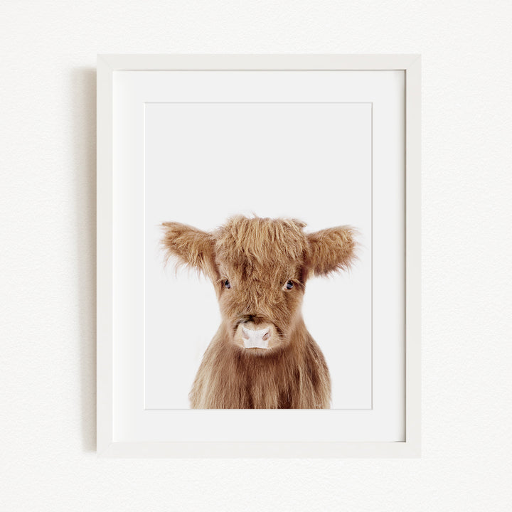 A framed image of a brown cow with a white nose and eyes, looking directly at the camera.