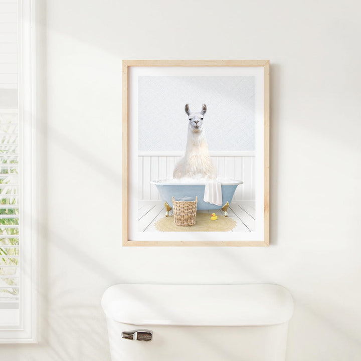 A framed image of a white llama sitting in a blue bathtub, with a basket of yellow rubber ducks nearby.
