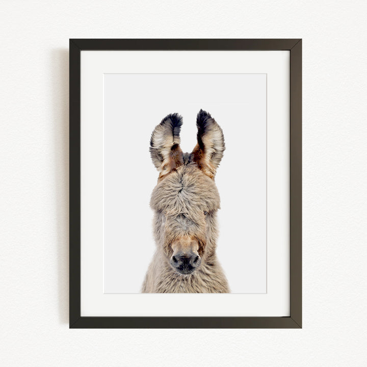A close-up portrait of a donkey with its head and ears prominently featured in a black frame against a white background.