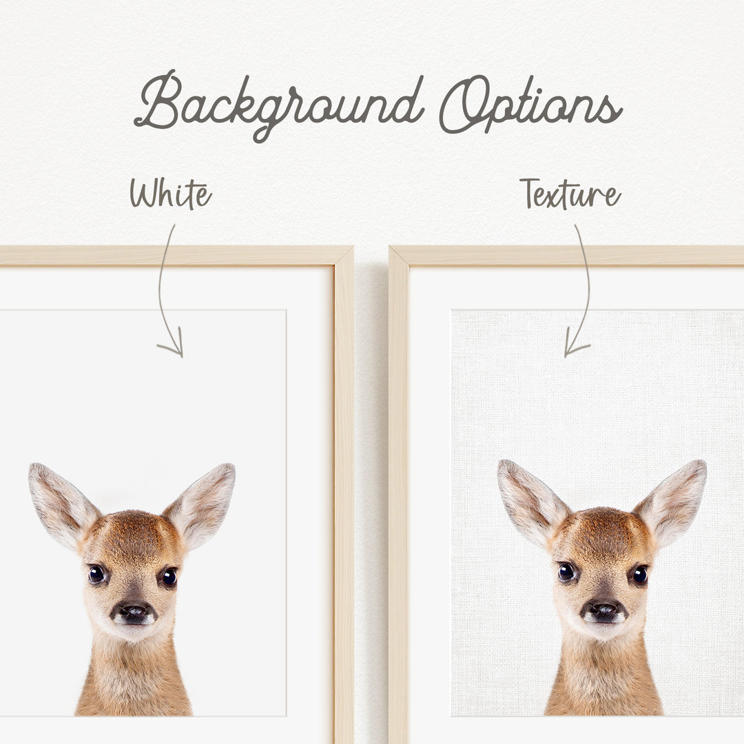 a close-up of a deer's face, with two framed pictures side by side. The text above the images indicates that there are two different backgrounds available, with one being white and the other being a different texture.