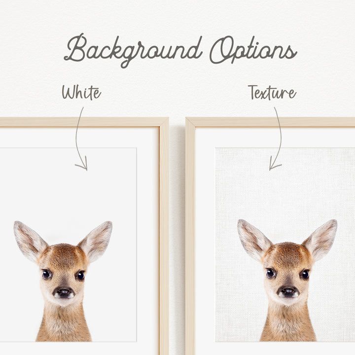 a close-up of a deer's face, with two framed pictures side by side. The text above the images indicates that there are two different backgrounds available, with one being white and the other being a different texture.