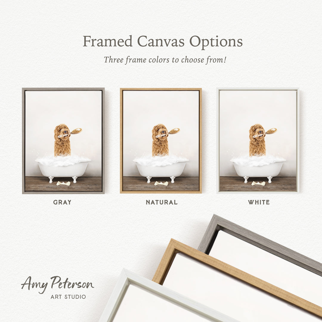 three framed canvas options, each featuring a different color: gray, natural, and white. The text above the images reads " Framed Canvas Options" and "Three frame colors to choose from!". The text below the images reads "Grays", "Naturals", and "Whites". The artist's name, Amy Peterson, is also mentioned at the bottom of the image.