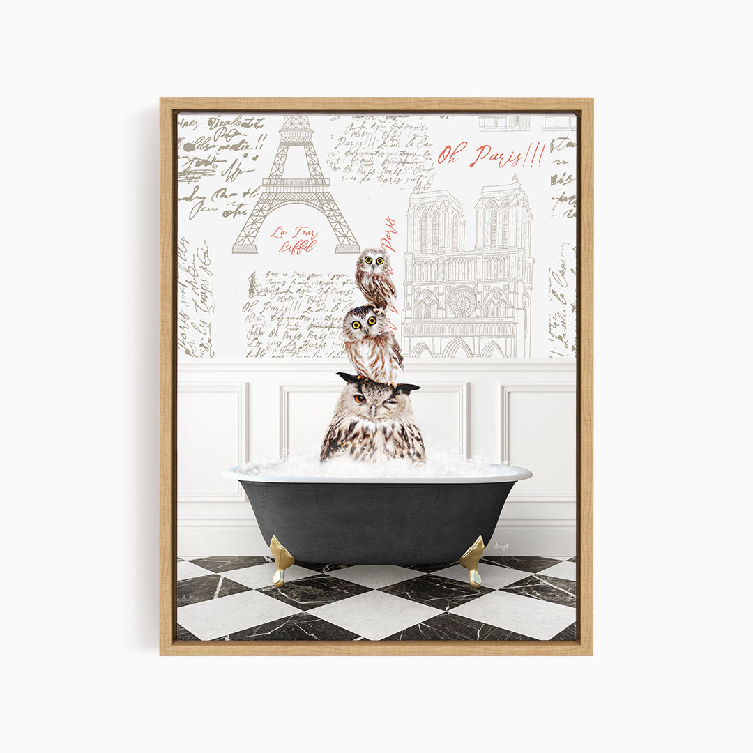 A framed image depicting three owls sitting in a bathtub, with a Paris-themed background featuring the Eiffel Tower and other Parisian landmarks.