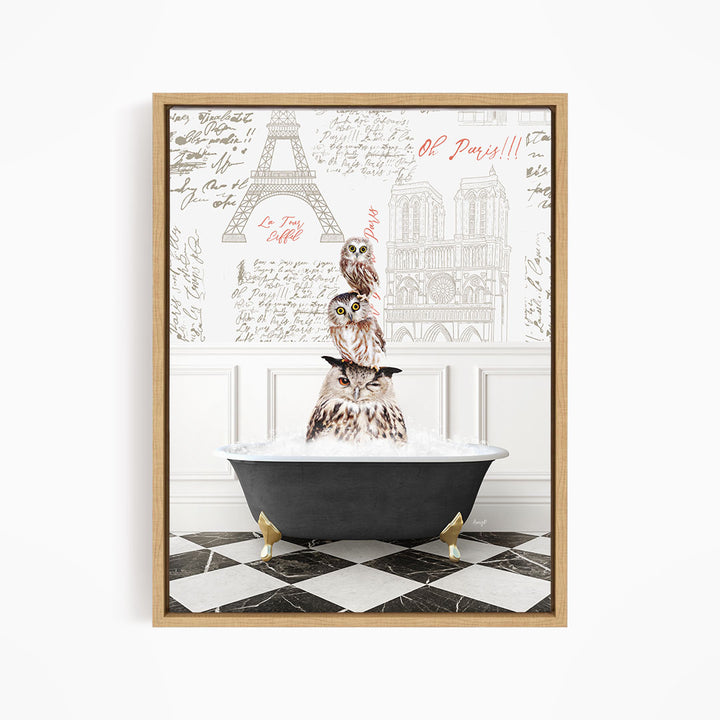 A framed image depicting three owls sitting in a bathtub, with a Paris-themed background featuring the Eiffel Tower and other Parisian landmarks.
